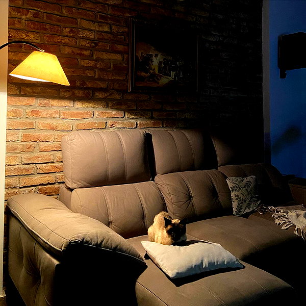solzarubin_ instagram image archive image