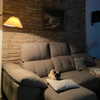 solzarubin_ Altpins Profile Picture