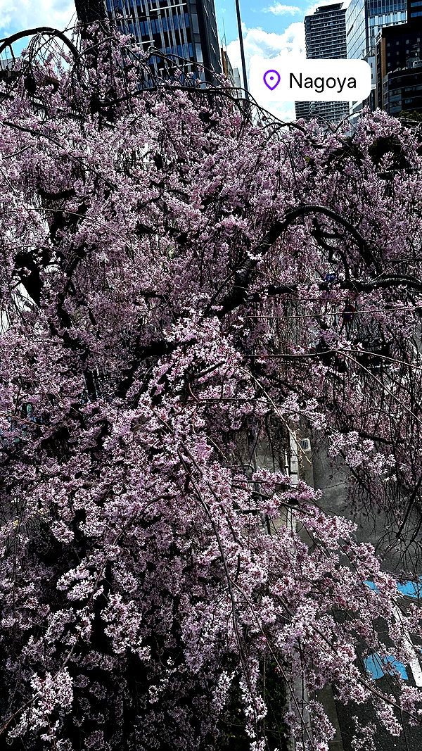 _dafi_lu instagram image archive image