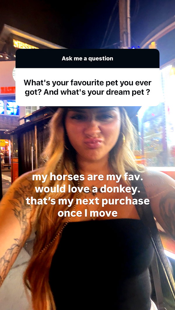 thekierstengrace thekierstengrace archive image