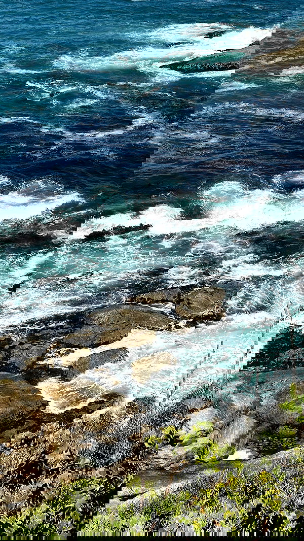 taylor.creeden taylor.creeden archive image