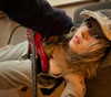_femalien Altpins Profile Picture