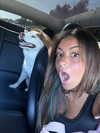 gabimfmoura Altpins Profile Picture