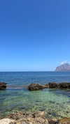 federica.piccinni Altpins Profile Picture