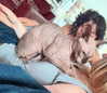 44cbrloveletter Altpins Profile Picture