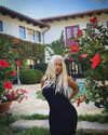 xtina Altpins Profile Picture
