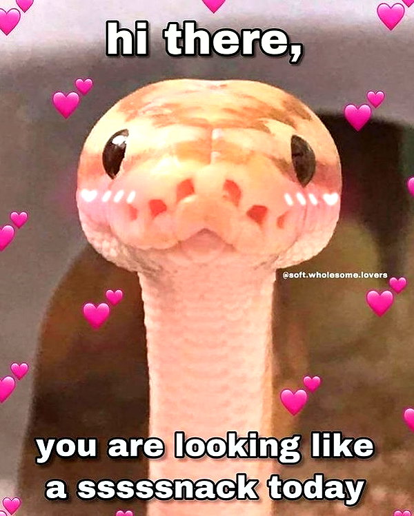 milkiwifey instagram image archive image