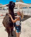 ellianawalmsley Altpins Profile Picture