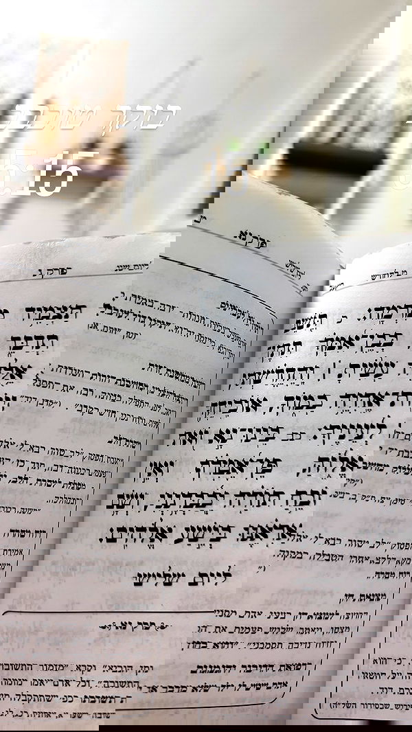 liad.arazi liad.arazi archive image