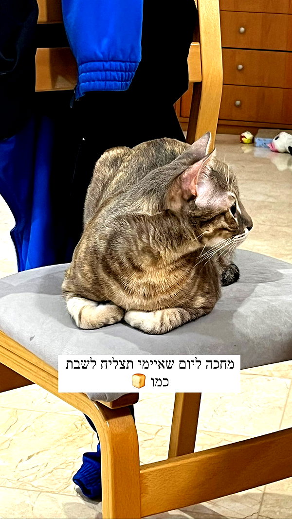 Archived image from @notchicore on Instagram