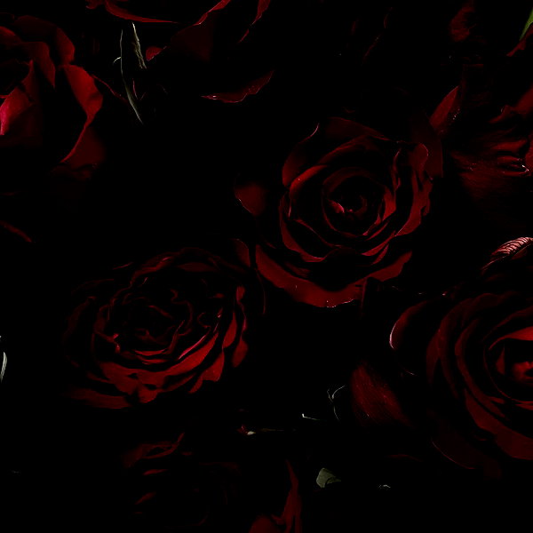 zoeliss instagram image archive image