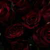 zoeliss Altpins Profile Picture