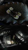 rott3nbambi Altpins Profile Picture