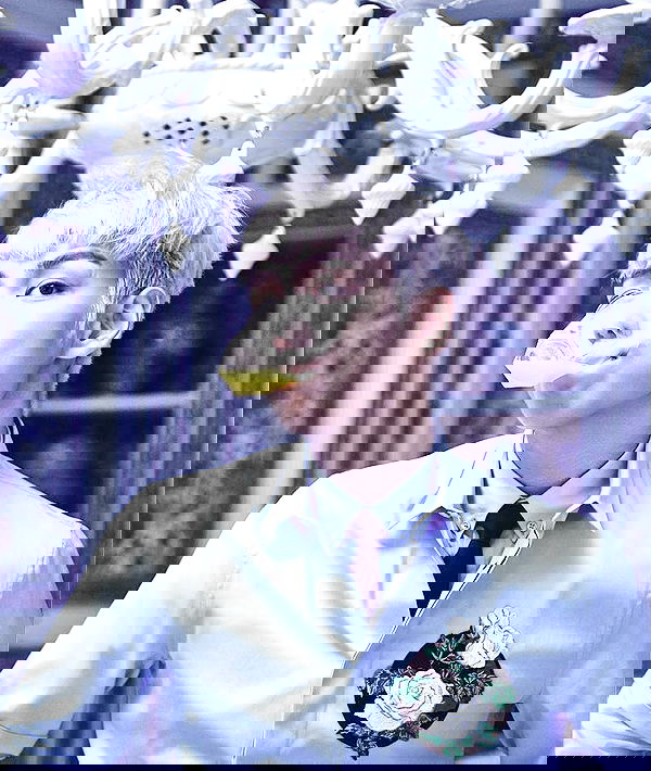 silkton image ~ Altpins