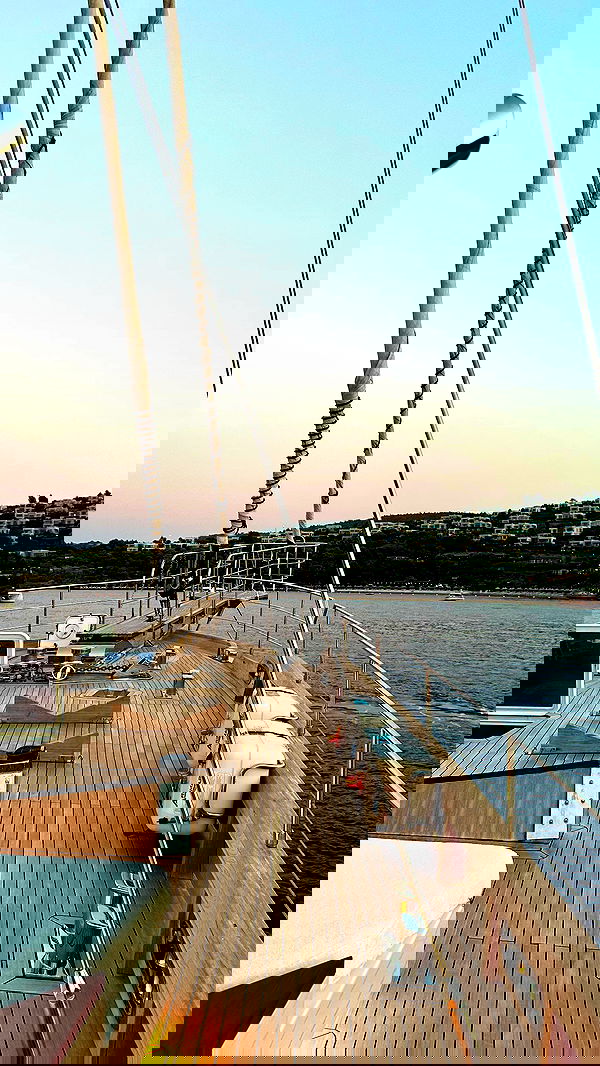 taylor.creeden taylor.creeden archive image