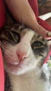 ronyida_ Altpins Profile Picture
