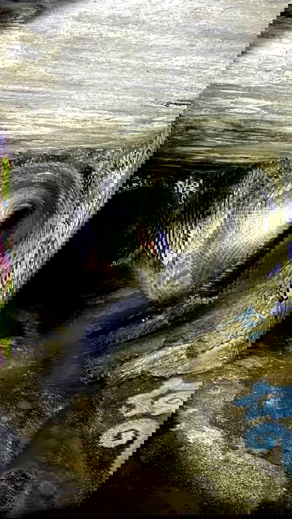 zommmbri zommmbri archive image