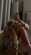 lilih Altpins Profile Picture