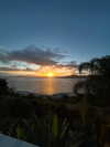 michalcohen___ Altpins Profile Picture