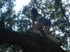 teakitten_ Altpins Profile Picture