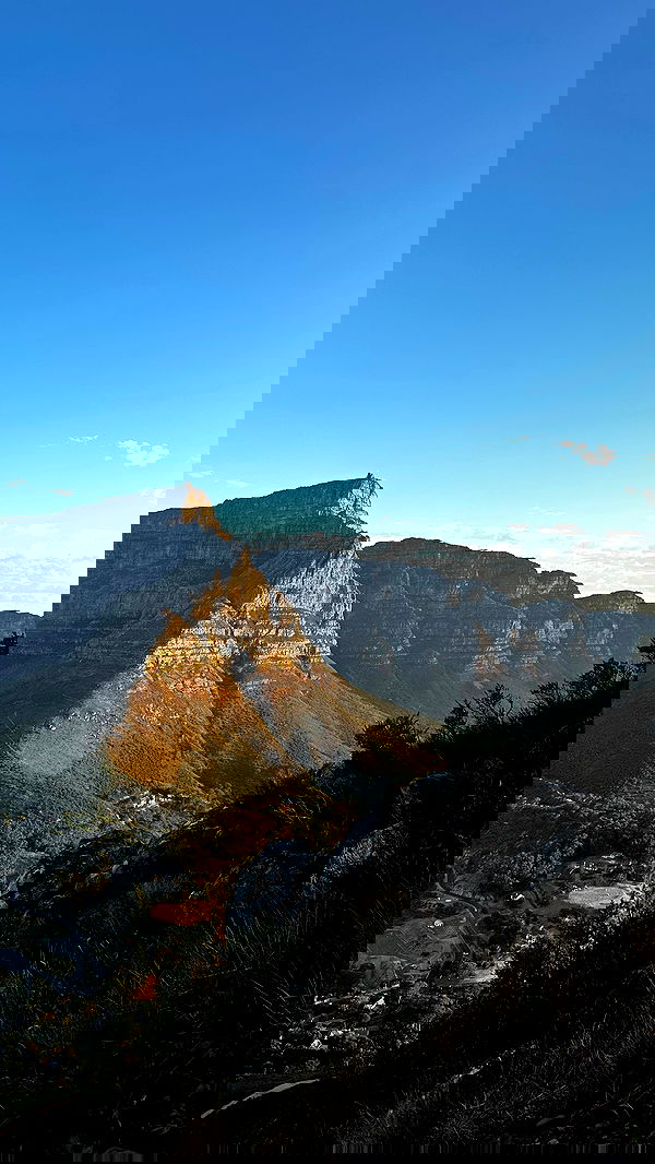 taylor.creeden taylor.creeden archive image