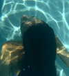 leonanaomii Altpins Profile Picture