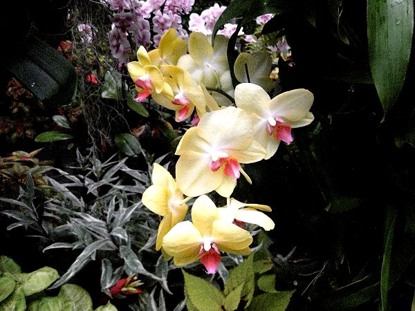 lolontlia instagram image archive image