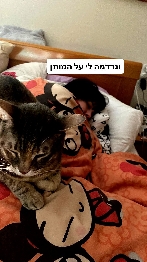 Archived image from @notchicore on Instagram