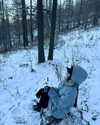 indra0102_ Altpins Profile Picture