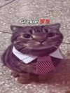 milkibunshehe Altpins Profile Picture
