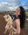 elsarca Altpins Profile Picture