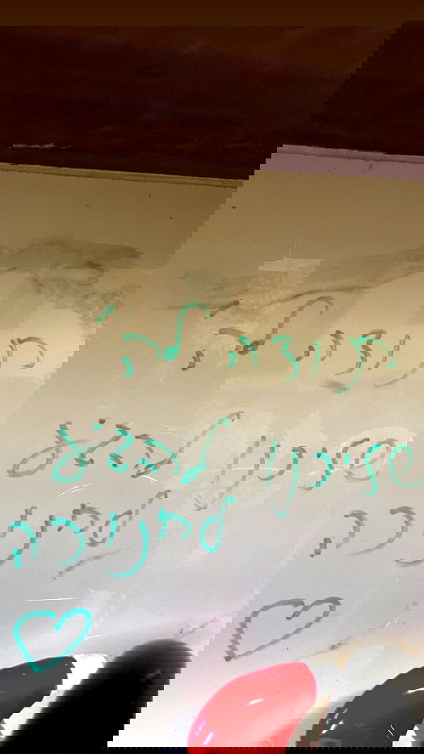 efrat_elmalich efrat_elmalich archive image