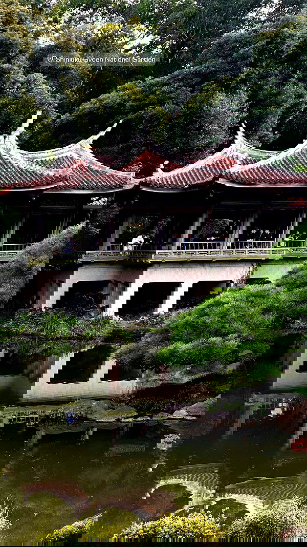 taylor.creeden taylor.creeden archive image