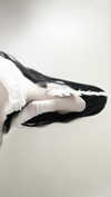annaemiliaz Altpins Profile Picture
