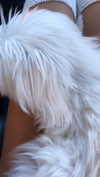 elizabethcampbelljones Altpins Profile Picture