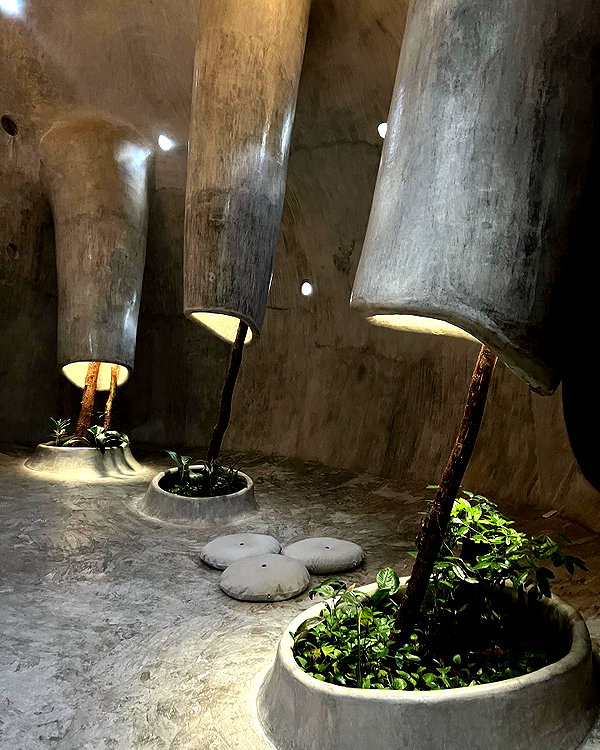 daryanedarya instagram image archive image