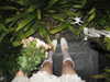 gritsa.k Altpins Profile Picture