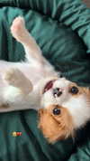 alexxndrraa Altpins Profile Picture