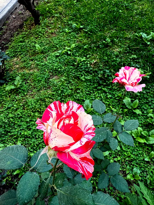 solzarubin_ instagram image archive image