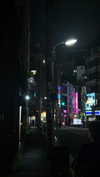 dina_shrago Altpins Profile Picture