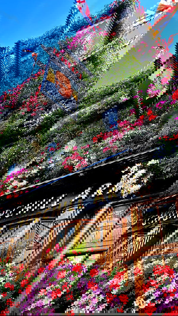 taylor.creeden taylor.creeden archive image