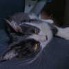 yuna_1_27 Altpins Profile Picture
