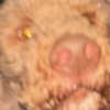 georgialeetwinn Altpins Profile Picture