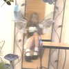 f4iryybl00d Altpins Profile Picture