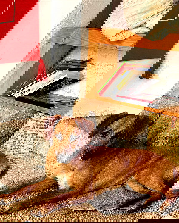 manjolamuriqi manjolamuriqi archive image