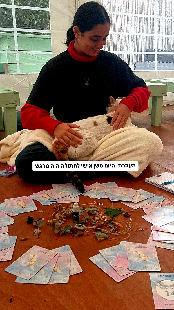 yuval_raz instagram image archive image