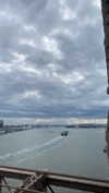 federica.piccinni Altpins Profile Picture