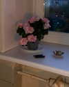milena_milachich Altpins Profile Picture