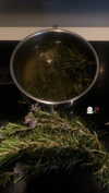 rott3nbambi Altpins Profile Picture