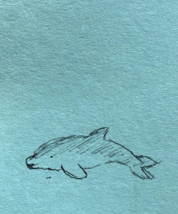 leekssarchive instagram image archive image